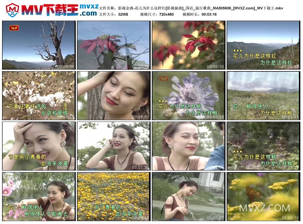 影视金曲-花儿为什么这样红[影视插曲]_国语_流行歌曲_MA505606
